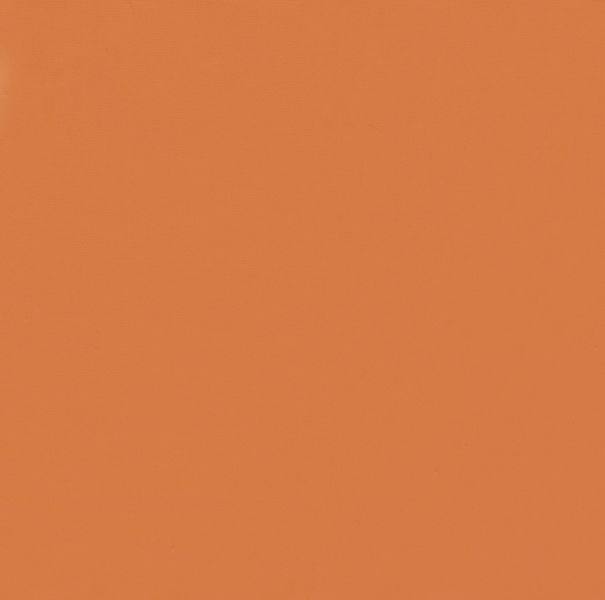 BS-9509-2 灵动爱马仕橙